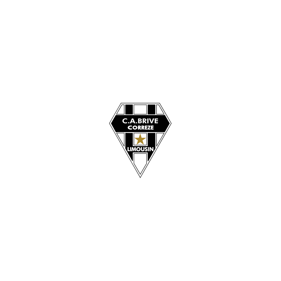 STICKER BLASON 13 cm