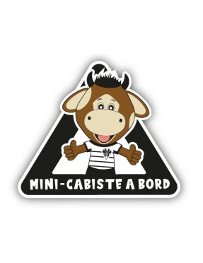 STICKER MINI CABISTE A BORD