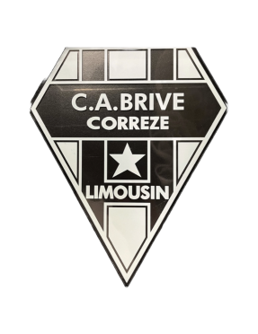 STICKER VITRE ARRIERE 24 CM