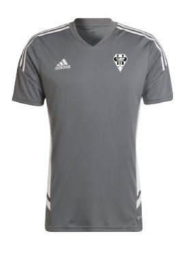 T-SHIRT ADULTE GRIS